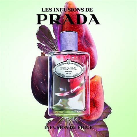 prada figue|Prada.